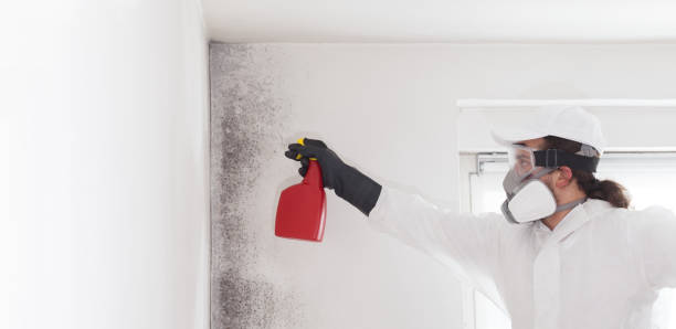 Best Bathroom Mold Remediation in Monmouth Junction, NJ