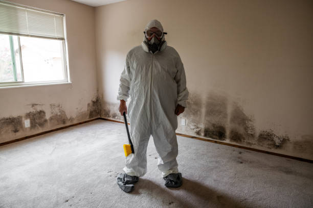 Best Residential Mold Remediation in Monmouth Junction, NJ